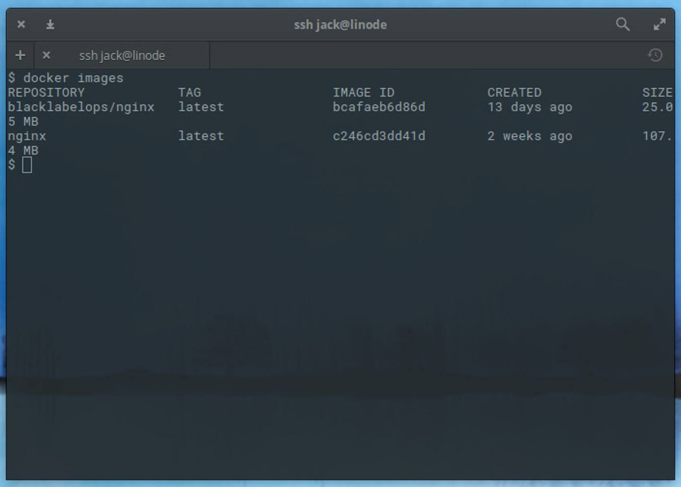 DockerContainerImages DockerContainerImages
